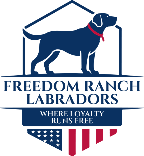 Freedom Ranch Labradors